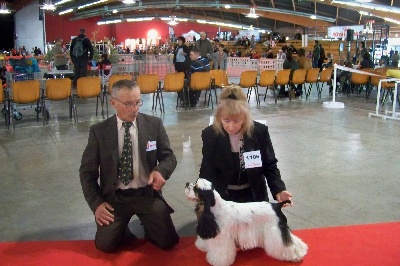 de valambreuse - Beth à l'exposition de Perpignan